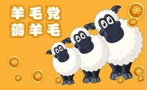 6月份最新薅羊毛攻略