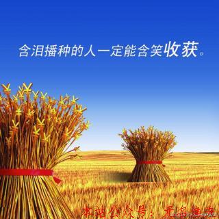 讓你日入一萬的秘密，淺談小峰創(chuàng)業(yè)匯對付出的看法