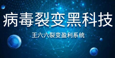 王六六裂變盈利系統(tǒng)課程第六課，病毒裂變黑科技