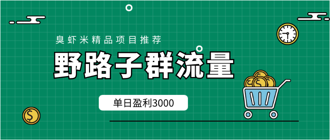 野路子群流量項(xiàng)目：穩(wěn)定之后可實(shí)現(xiàn)日盈利3000-5000，輕松實(shí)現(xiàn)月入3萬+