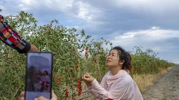 這個(gè)新職業(yè)，讓他們的夢想起飛