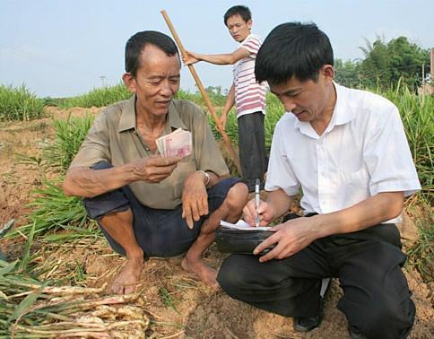 創(chuàng)業(yè)課堂分享未來農(nóng)村幾個賺錢項目，能賺錢還有補貼拿，農(nóng)民不妨試試