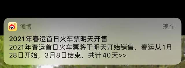 網(wǎng)賺項目加,過年剛需項目，利用信息差日賺500+，代購火車票了解下！