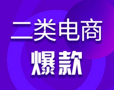 聊一個小眾的電商項目——二類電商，類似1688無貨源，但重廣告投放。,qq群營銷