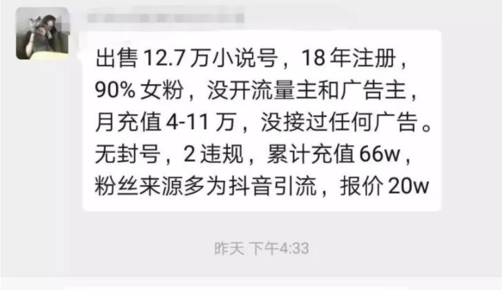 小說分銷暴利賺錢項目，日引萬粉的另類玩法,暴利