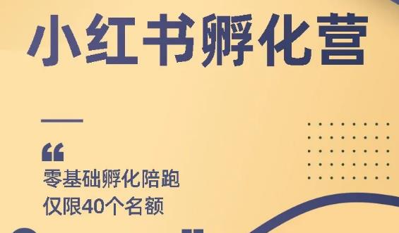 勇哥小紅書擼金快速起量項目：教你如何快速起號獲得曝光，做到月躺賺在3000+,網(wǎng)賺項目是什么意思