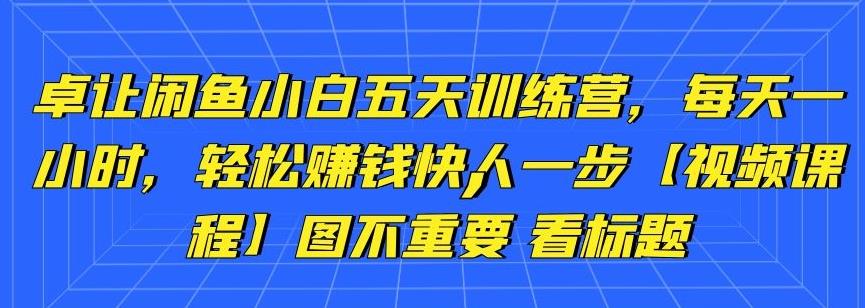 卓讓閑魚小白五天訓(xùn)練營，每天一小時(shí)，輕松賺錢快人一步【視頻課程】