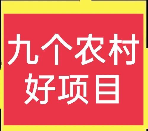 鄉(xiāng)鎮(zhèn)生意大全，九個農(nóng)村鄉(xiāng)鎮(zhèn)好項目，建議收藏