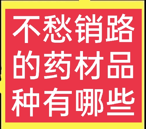 銷路好的短期種植，農村種植哪些藥材比較簡單，不愁銷路？這五種值得一試