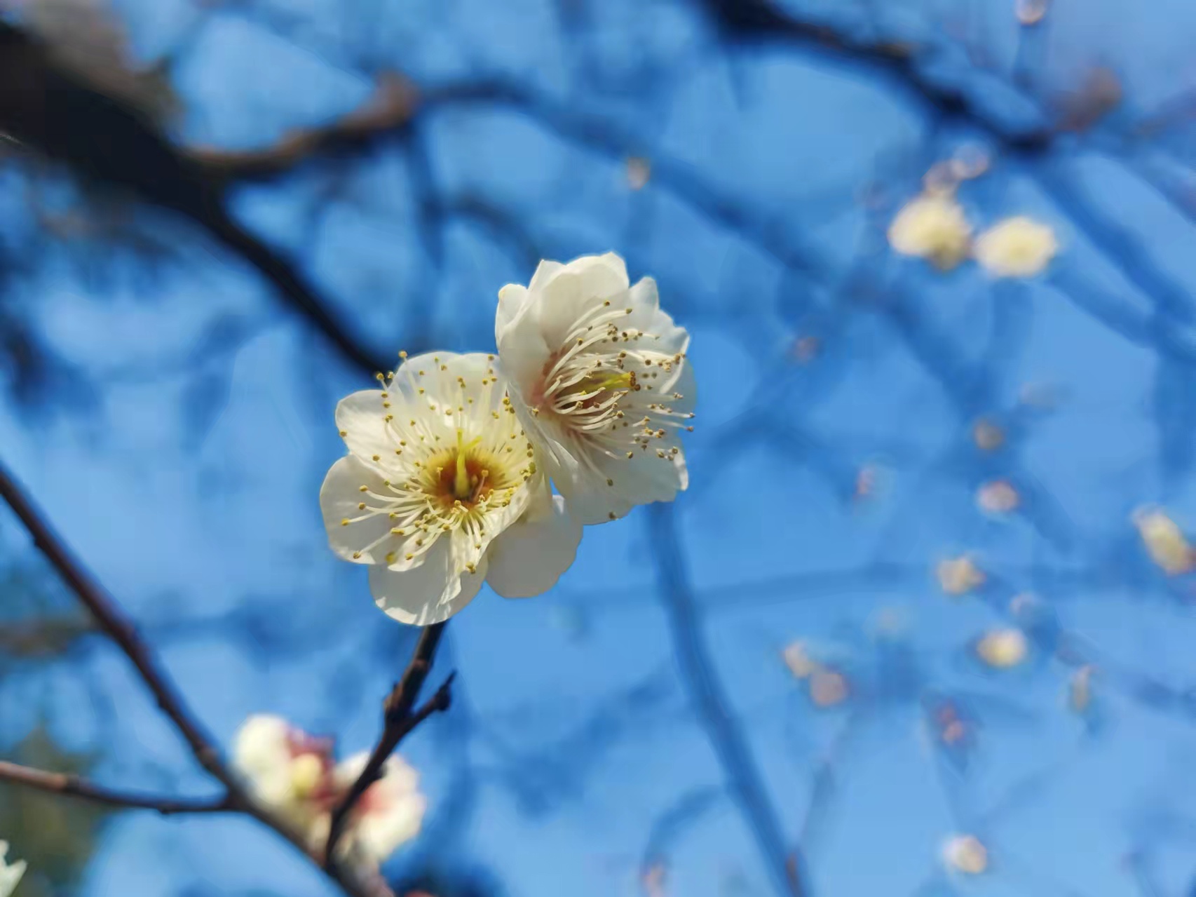 工作中心態(tài)的重要性，職場人應(yīng)避免的6種職場心態(tài)都是什么